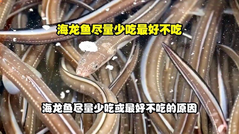 海龍魚被禁止后有何變化？，海龍魚被禁售和食用后的變化