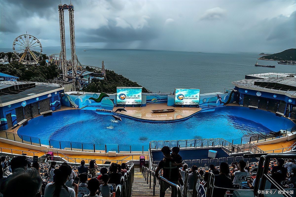 全國水族館一覽表2023最新，2023年全國水族館呈現多元發展態的海洋生物觀賞與科普體驗