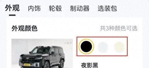 綠皮皇冠豹最值得入手的三個顏色，哥倫比亞綠皮皇冠豹最值得入手的三個顏色推薦我的綠豹子鈦3