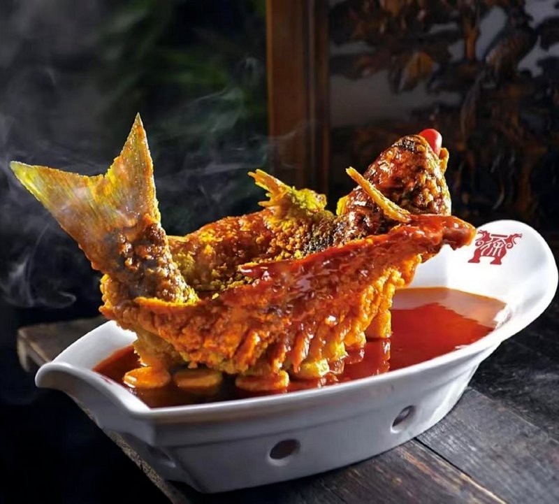 沙坪壩龍魚店，沙坪壩龍魚店哪家口碑最好