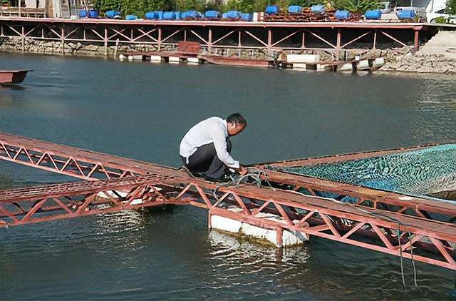 渭源龍魚店，渭源縣有沒有龍魚養殖基地