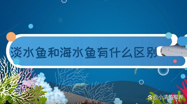 紅龍海水魚和淡水魚有什么區別？，海水魚與淡水魚的區別