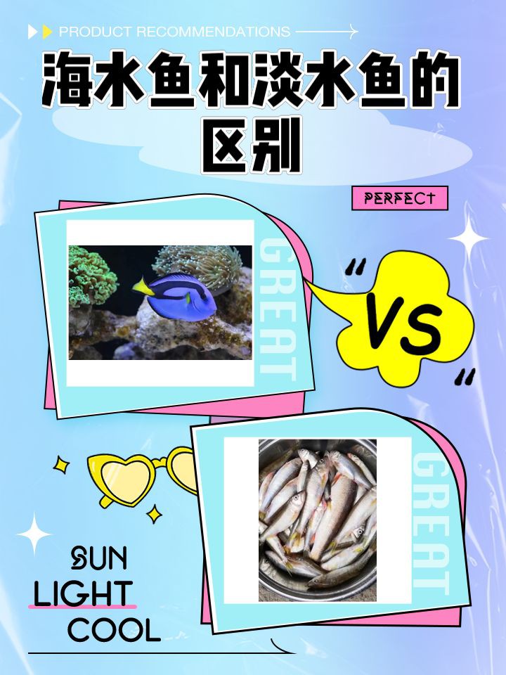 紅龍海水魚和淡水魚有什么區別？，海水魚與淡水魚的區別