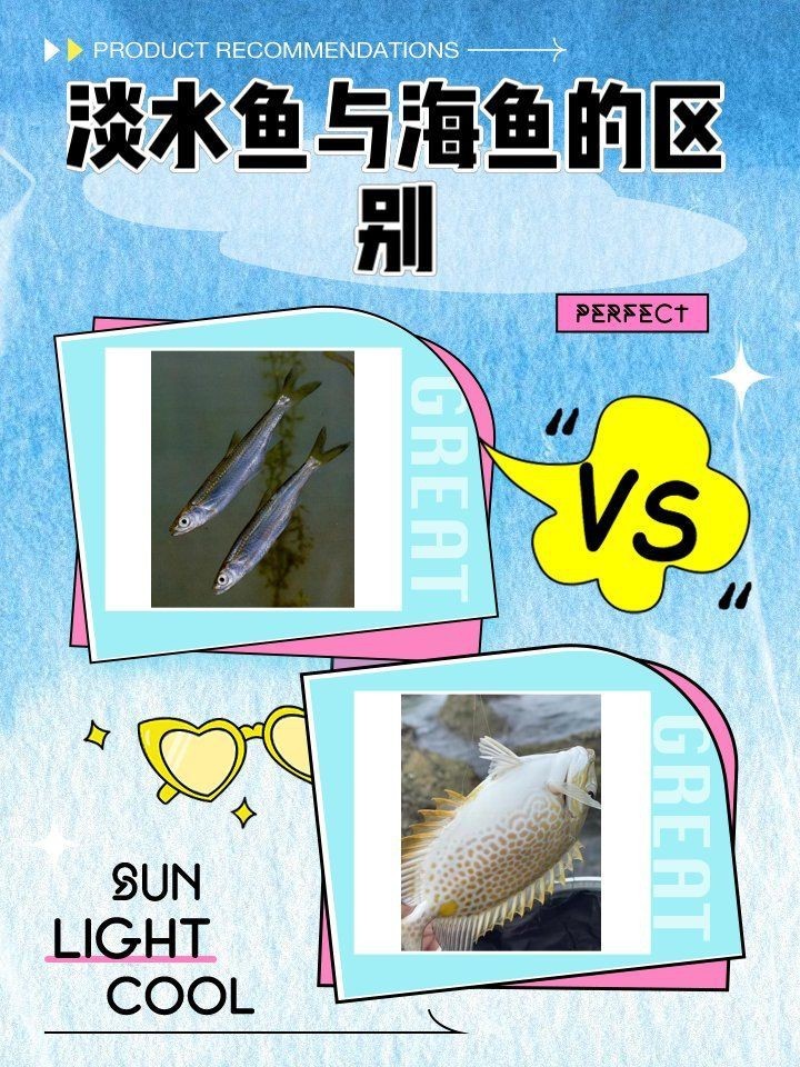 紅龍海水魚和淡水魚有什么區別？，海水魚與淡水魚的區別