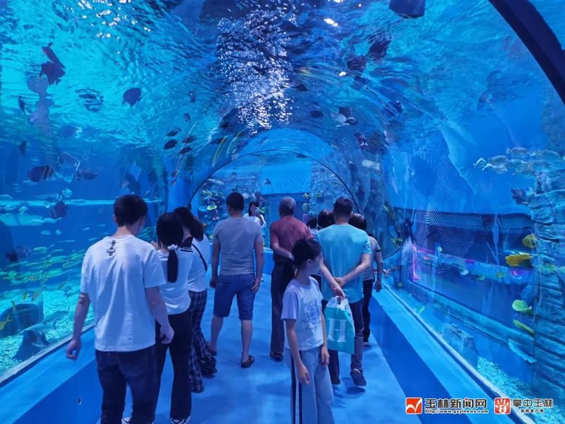 玉林水族店，玉林市玉州區三和水族館愛企查玉林市玉州區三和水族館愛企查 玉林水族店，玉林市玉州區三和水族館愛企查玉林市玉州區三和水族館愛企查 全國水族館企業名錄 第6張