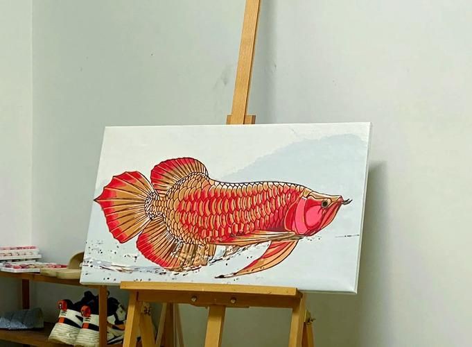 紅龍魚發(fā)色鱗框的圖解，淡水觀賞魚紅龍魚鱗框發(fā)色特征圖解及發(fā)色階段解析