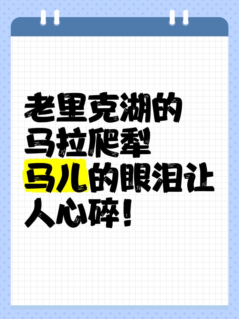 什么是馬拉小紅龍，“馬拉小紅龍”作文15篇500字作文庫 什么是馬拉小紅龍，“馬拉小紅龍”作文15篇500字作文庫 龍魚論壇