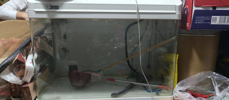 什么地方有魚缸賣，魚缸購買指南：從線上到線下到線下的全方位攻略 什么地方有魚缸賣，魚缸購買指南：從線上到線下到線下的全方位攻略 龍魚論壇 第2張