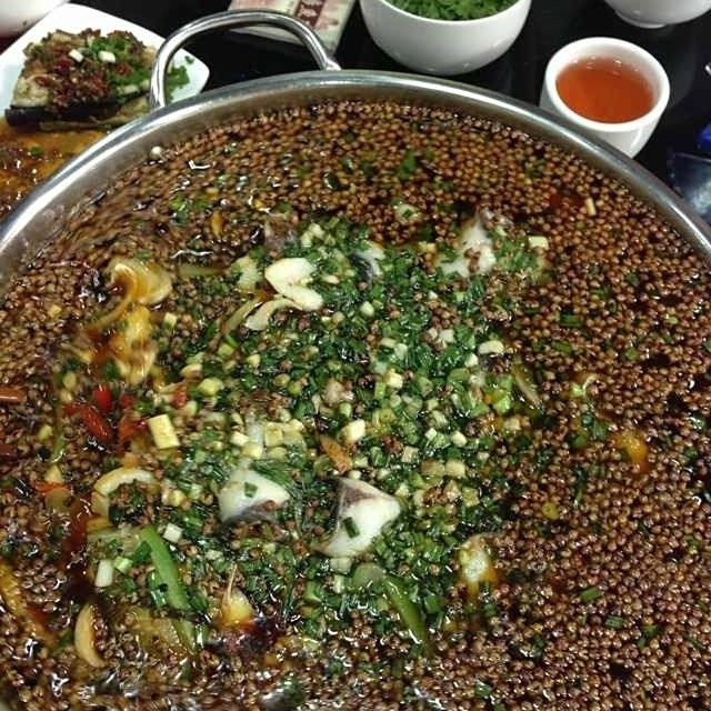 巴南龍魚店，巴南區有龍魚專賣店嗎