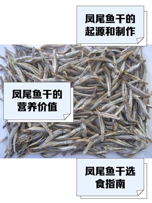 鳳尾魚圖片，鳳尾魚圖片資源豐富多樣