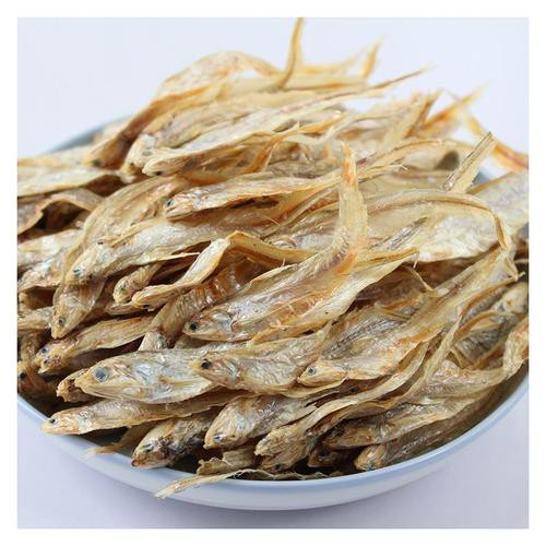 鳳尾魚圖片，鳳尾魚圖片資源豐富多樣