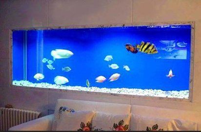 湘潭魚缸批發市場，湘潭魚缸批發市場發展趨勢 湘潭魚缸批發市場，湘潭魚缸批發市場發展趨勢 全國水族館企業名錄 第5張