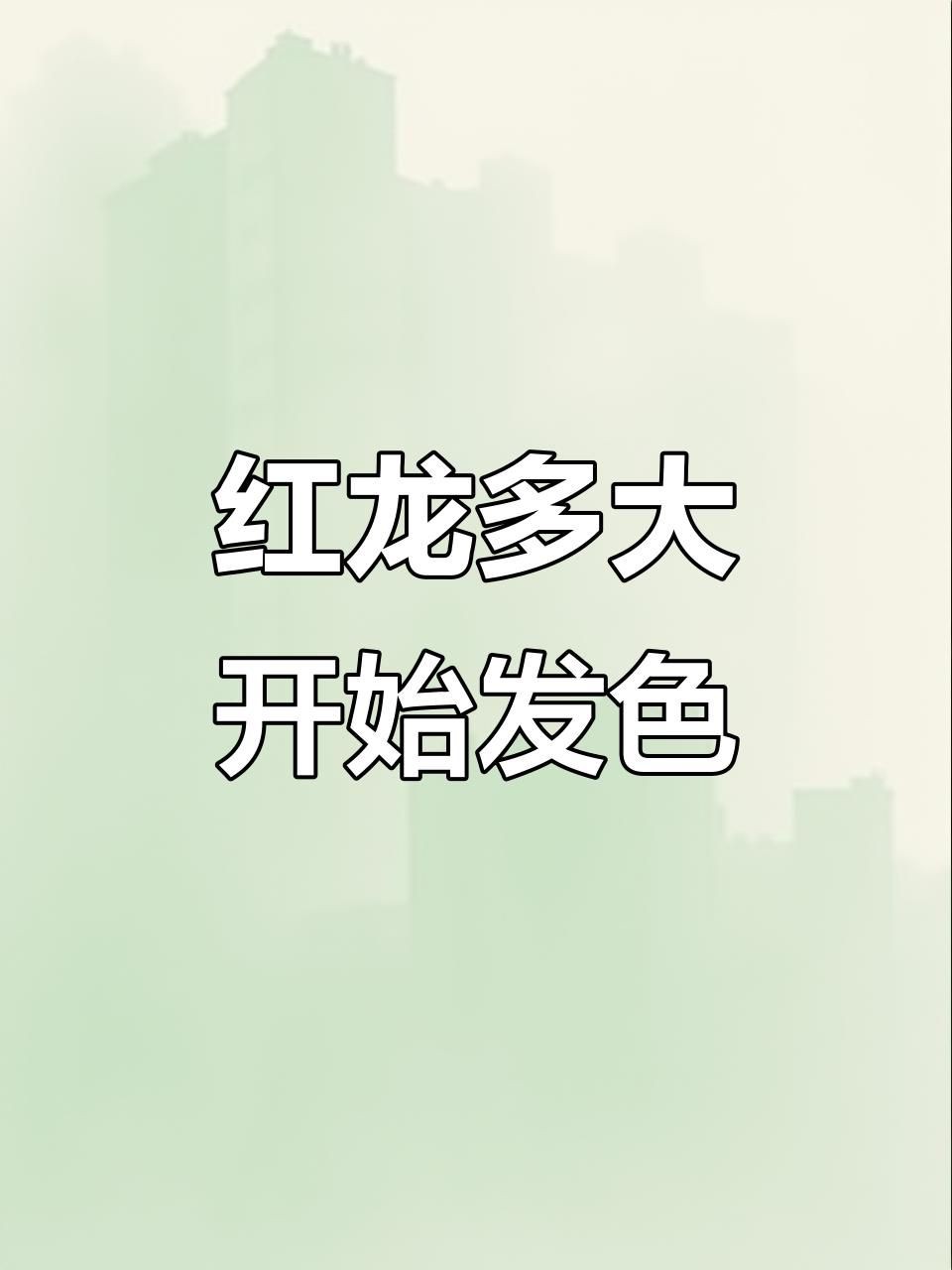 紅龍魚幼苗多久會發色，紅龍魚發色與成長全過程如何促進紅龍魚發色與成長全過程