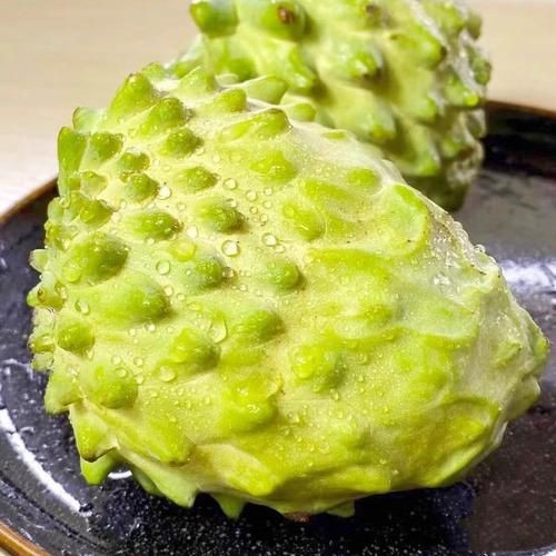 綠皮皇冠豹最忌三種水果圖片，綠皮皇冠豹最忌三種水果 綠皮皇冠豹最忌三種水果圖片，綠皮皇冠豹最忌三種水果 龍魚(yú)百科 第8張