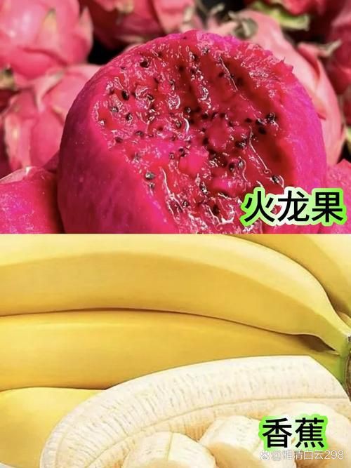 綠皮皇冠豹最忌三種水果圖片，綠皮皇冠豹最忌三種水果 綠皮皇冠豹最忌三種水果圖片，綠皮皇冠豹最忌三種水果 龍魚(yú)百科 第7張