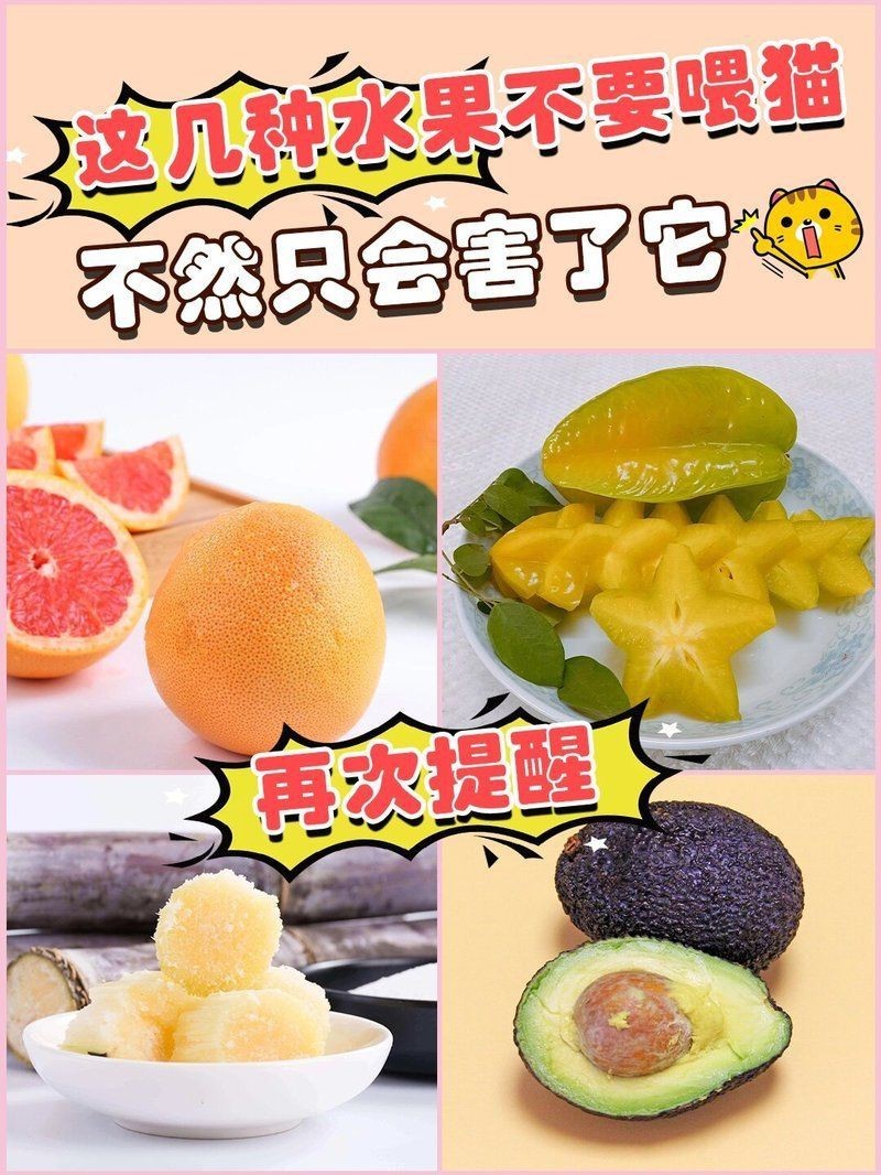 綠皮皇冠豹最忌三種水果圖片，綠皮皇冠豹最忌三種水果 綠皮皇冠豹最忌三種水果圖片，綠皮皇冠豹最忌三種水果 龍魚(yú)百科 第30張