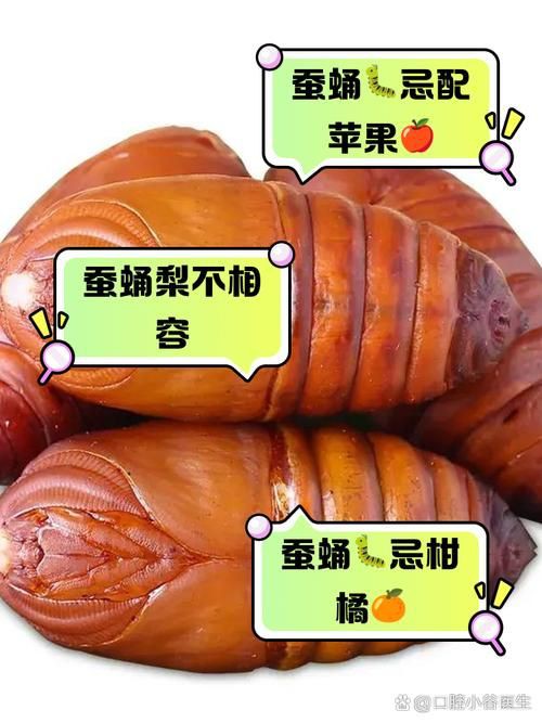 綠皮皇冠豹最忌三種水果圖片，綠皮皇冠豹最忌三種水果 綠皮皇冠豹最忌三種水果圖片，綠皮皇冠豹最忌三種水果 龍魚(yú)百科 第21張