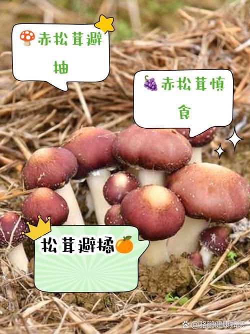 綠皮皇冠豹最忌三種水果圖片，綠皮皇冠豹最忌三種水果 綠皮皇冠豹最忌三種水果圖片，綠皮皇冠豹最忌三種水果 龍魚(yú)百科 第25張