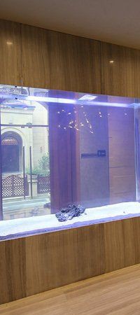 昆明魚缸定做，云南鯨濤水族魚缸定制供應圖片大全-云南恒盈科技有限公司