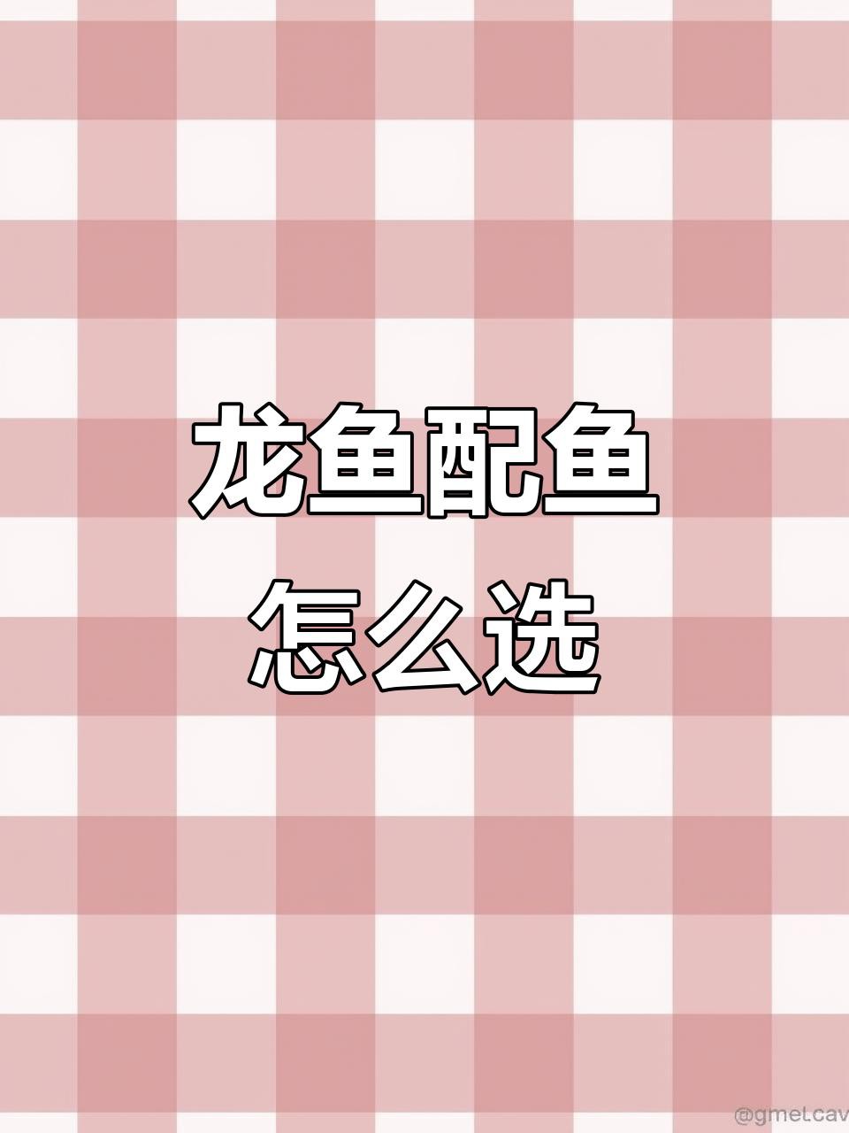 有哪些魚可以與龍魚混養(yǎng)？，養(yǎng)魚知識｜可與龍魚混養(yǎng)的魚類