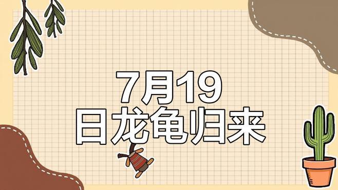 再給我一些龍龜的搭配建議，《天才龍龜》s15龍龜新賽季最強鐵王八陣容搭配建議