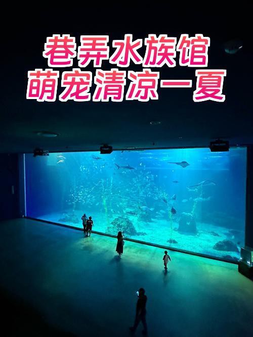 張家港水族店，張家港市仁漁水族館(個體工商戶)怎么樣