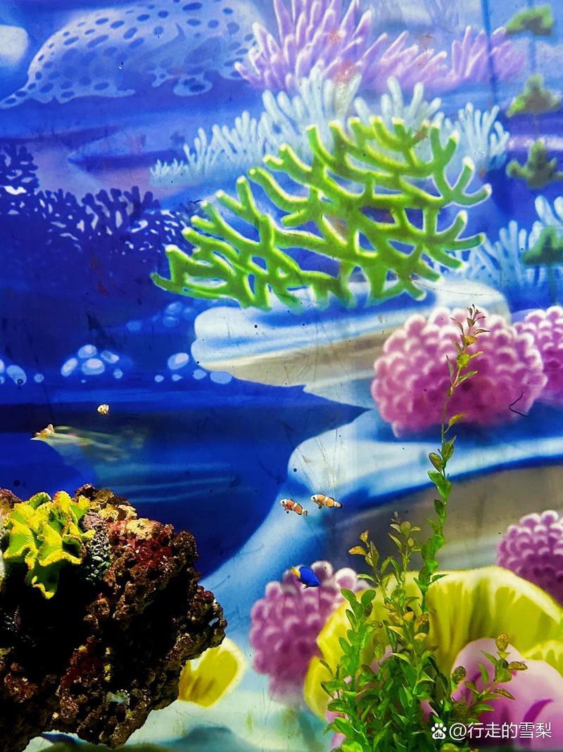 張家港水族店，張家港市仁漁水族館(個體工商戶)怎么樣