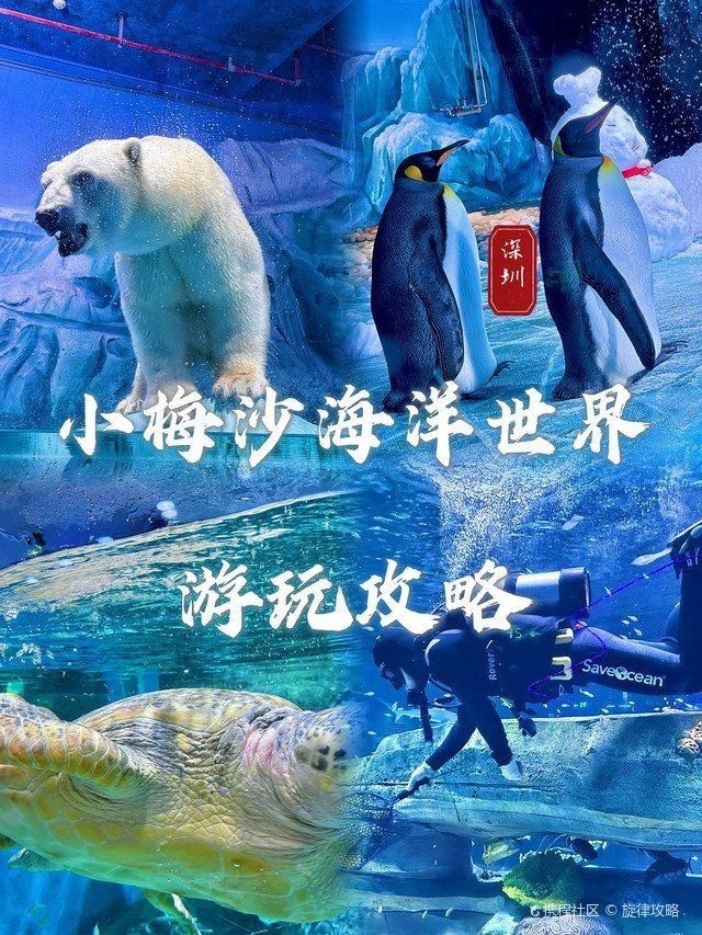 深圳水族館,深圳最精妙的共生系統 全國水族館企業名錄 第1張 深圳水族館,深圳最精妙的共生系統 深圳水族館,深圳最精妙的共生系統 全國水族館企業名錄 第1張