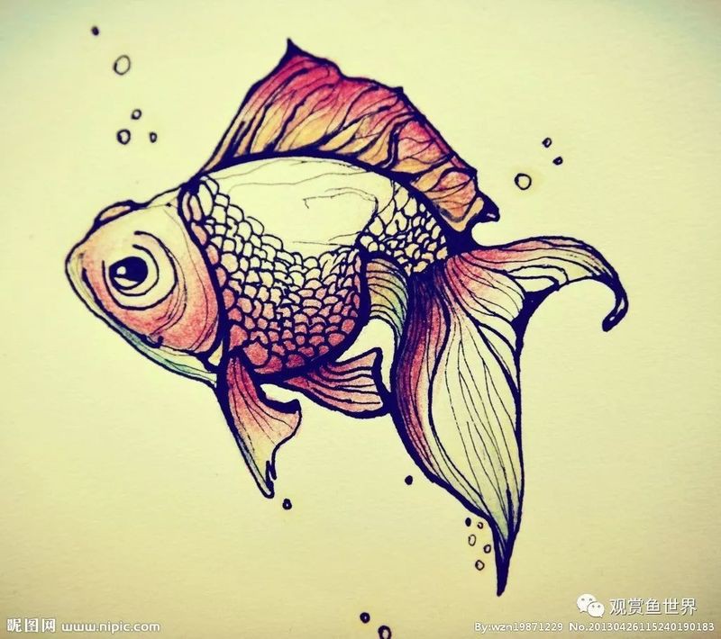 如何給金龍魚幼苗換水？，給金龍魚幼苗換水需要注意什么？