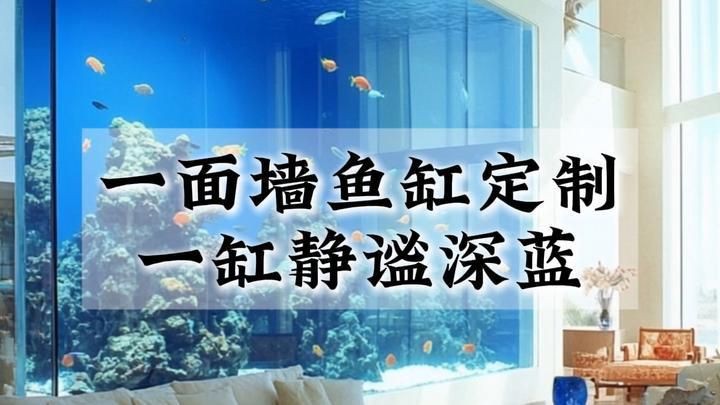 襄樊魚缸定做，襄樊地區的魚缸定做服務日益受到消費者青睞 襄樊魚缸定做，襄樊地區的魚缸定做服務日益受到消費者青睞 全國水族館企業名錄 第5張