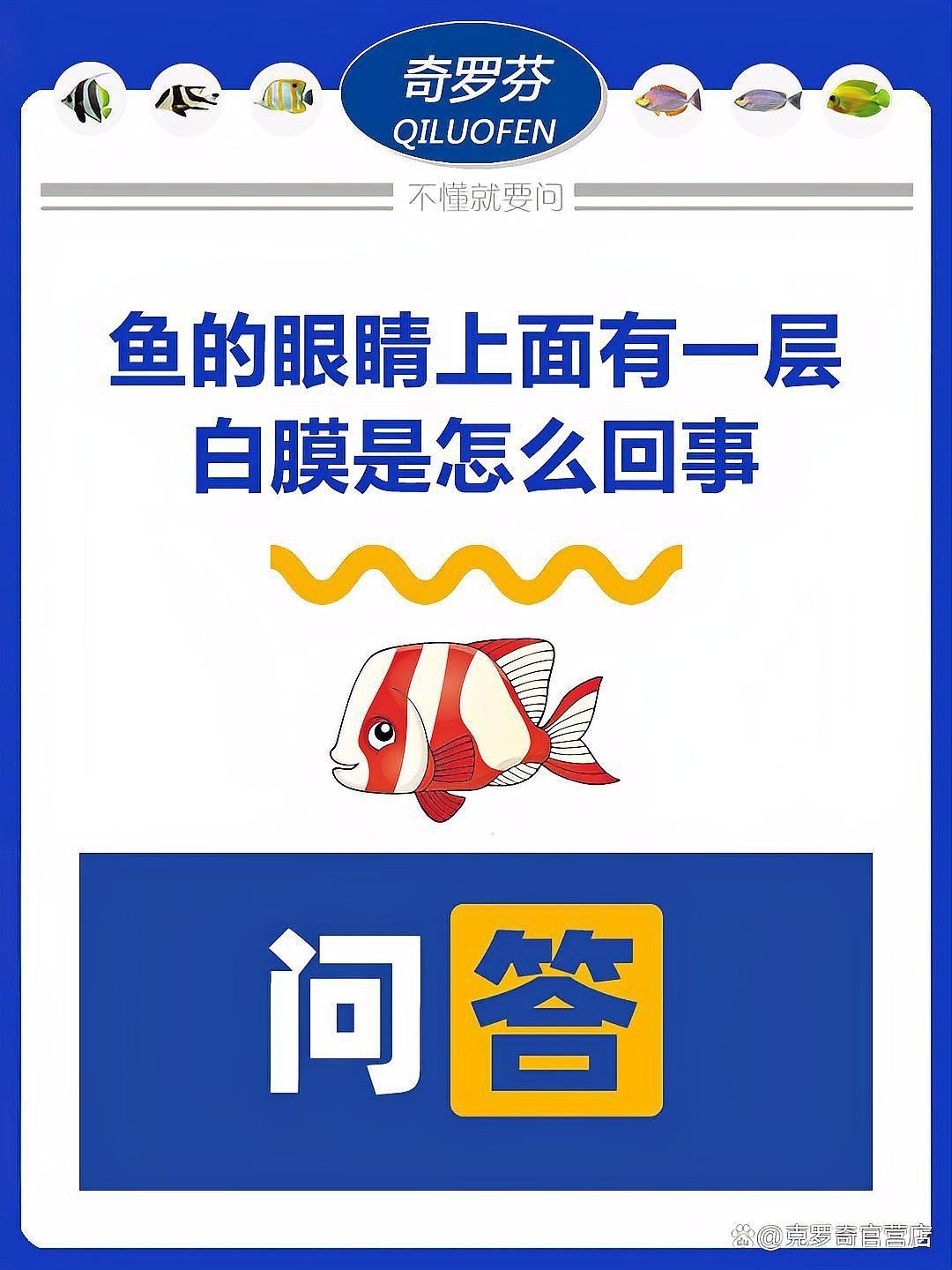 哪些觀賞魚容易得眼睛白膜，觀賞魚出現眼睛白膜是怎么回事克羅奇官營店魚蒙眼了怎么辦