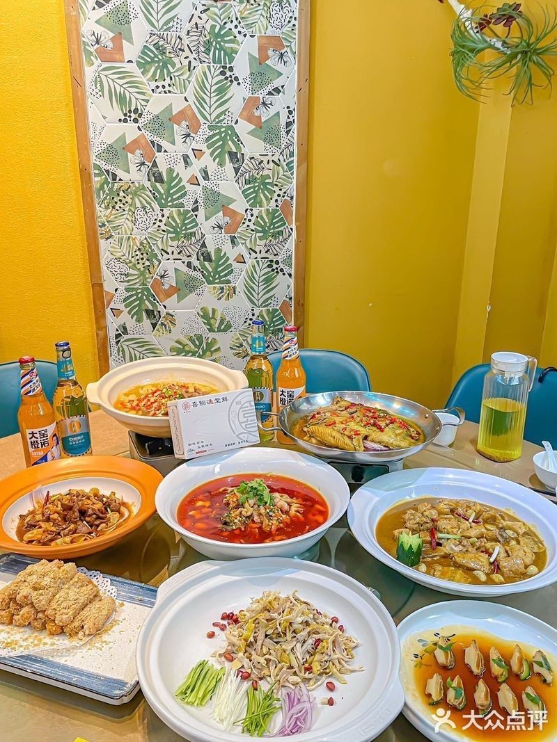 漢陽龍魚店，武漢漢陽龍魚店哪家最好