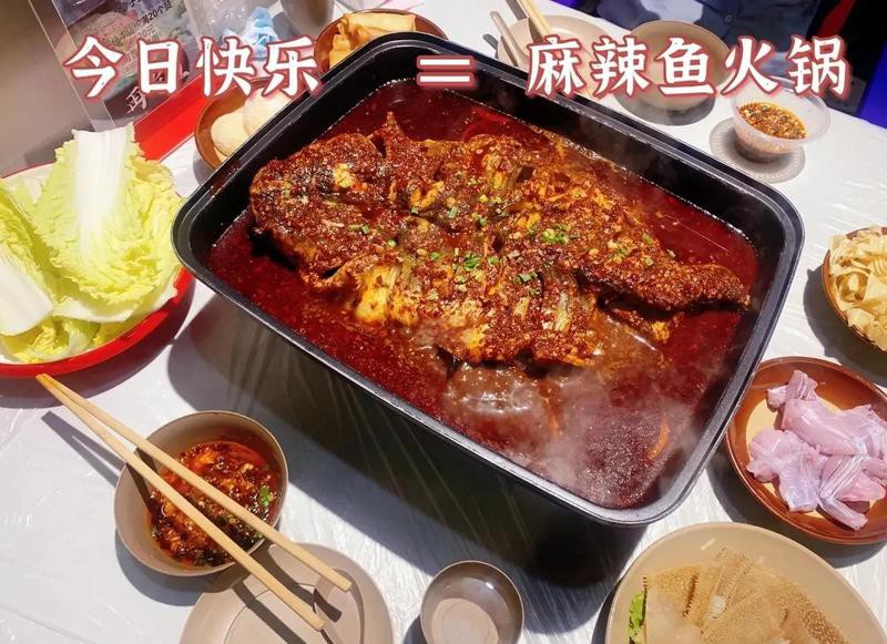 漢陽龍魚店，武漢漢陽龍魚店哪家最好