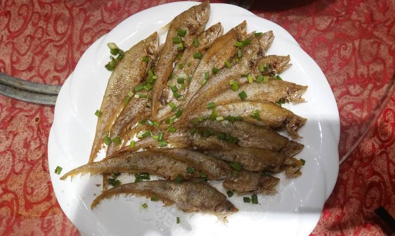 鳳尾魚俗稱什么魚，鳳尾魚俗稱及相關特點