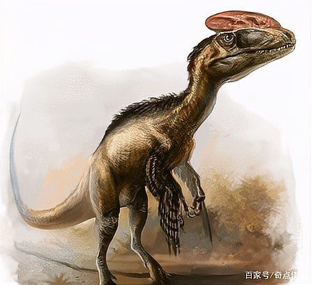帝龍與哪些恐龍關系密切？，10種恐龍你能認完嗎(1)1)創作無止境 帝龍與哪些恐龍關系密切？，10種恐龍你能認完嗎(1)1)創作無止境 龍魚論壇 第3張