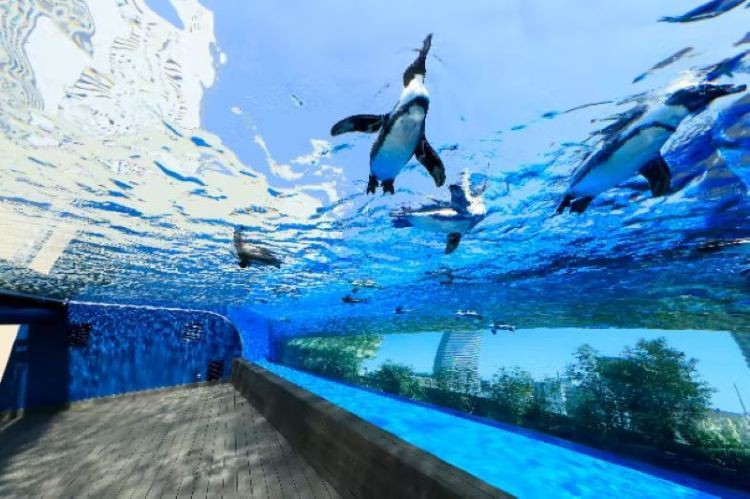清河門(mén)水族店，阜新市清河門(mén)區(qū)金海洋水族館