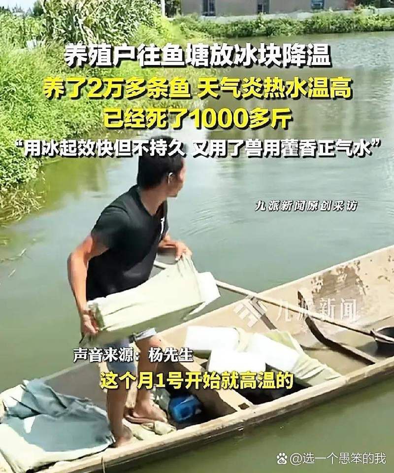 什么魚喜歡藿香正氣水，藿香正氣水與魚類的奇妙緣分：藿香正氣水與魚類的奇妙緣分 什么魚喜歡藿香正氣水，藿香正氣水與魚類的奇妙緣分：藿香正氣水與魚類的奇妙緣分 龍魚論壇 第5張