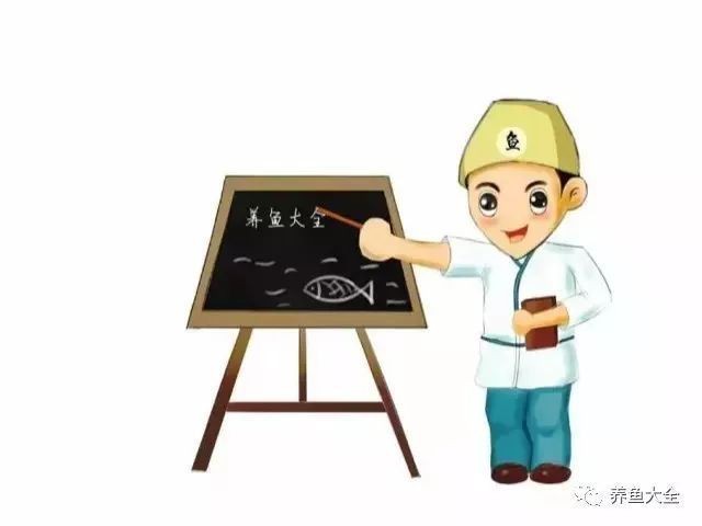 有哪些細菌是魚缸中常見的?,嗶哩嗶哩水產養殖常見的8大細菌你都用過嗎 龍魚百科 第2張 有哪些細菌是魚缸中常見的?,嗶哩嗶哩水產養殖常見的8大細菌你都用過嗎 有哪些細菌是魚缸中常見的?,嗶哩嗶哩水產養殖常見的8大細菌你都用過嗎 龍魚百科 第2張