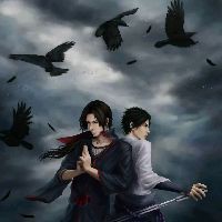 海洋公園里有什么水族館，世界上最大的十個(gè)水族館,你去過幾個(gè),非凡科普 海洋公園里有什么水族館，世界上最大的十個(gè)水族館,你去過幾個(gè),非凡科普 龍魚論壇 第16張