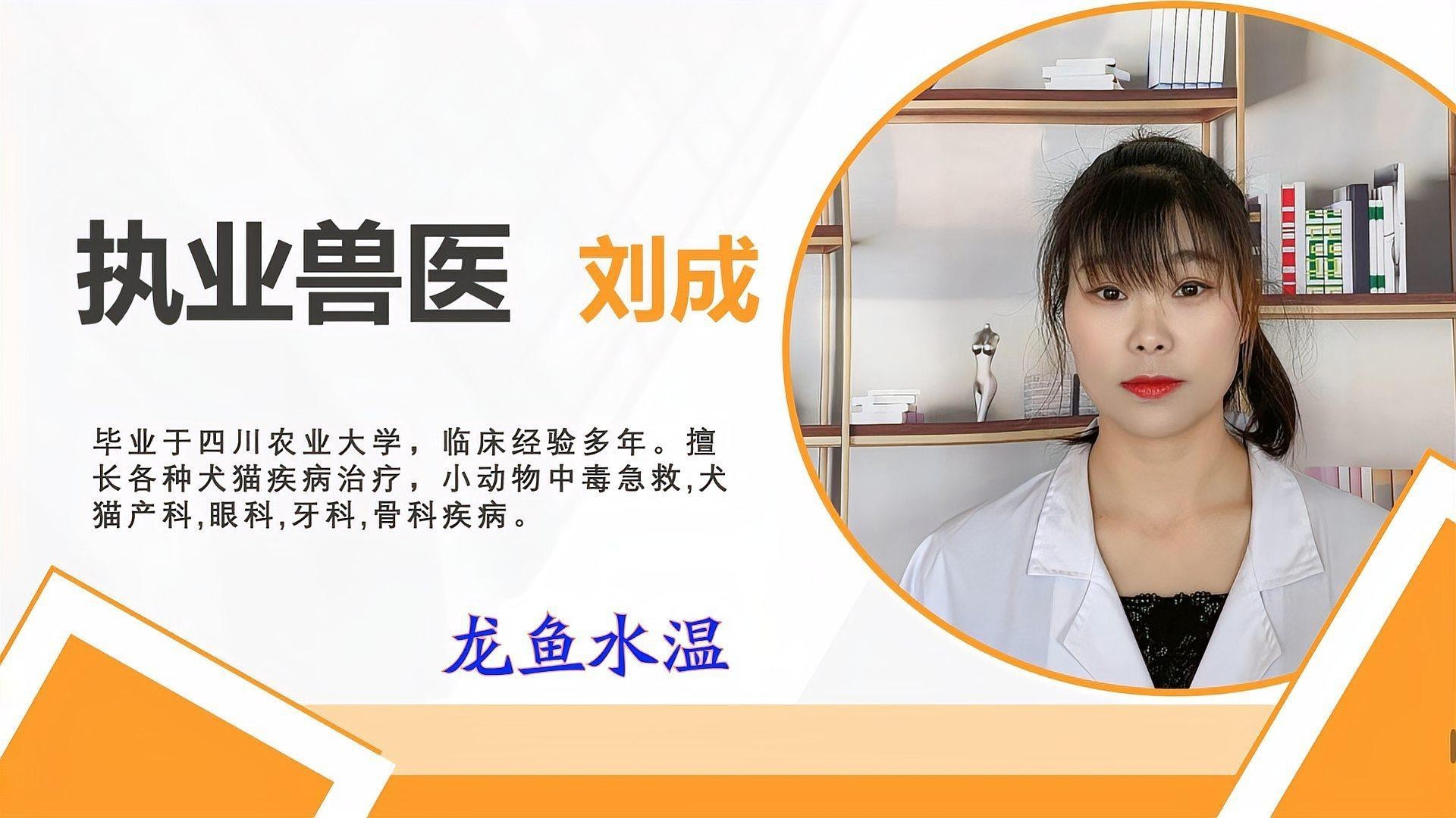 如何保持金龍魚水溫的穩(wěn)定？，養(yǎng)金龍魚的注意事項(xiàng) 如何保持金龍魚水溫的穩(wěn)定？，養(yǎng)金龍魚的注意事項(xiàng) 龍魚百科 第7張