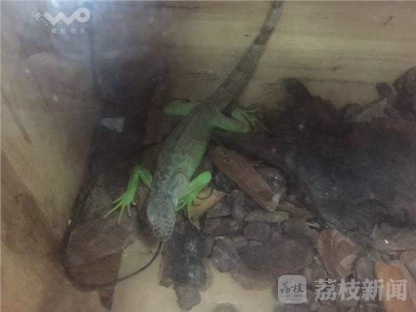 秦淮水族店，南京市秦淮區水族店