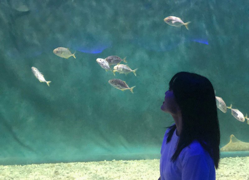 秦淮水族店，南京市秦淮區水族店