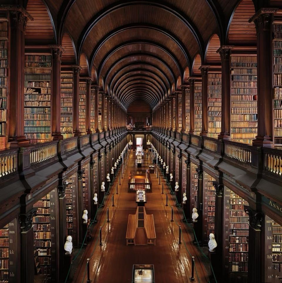 銀川龍魚店，興慶區裕翔龍魚產業