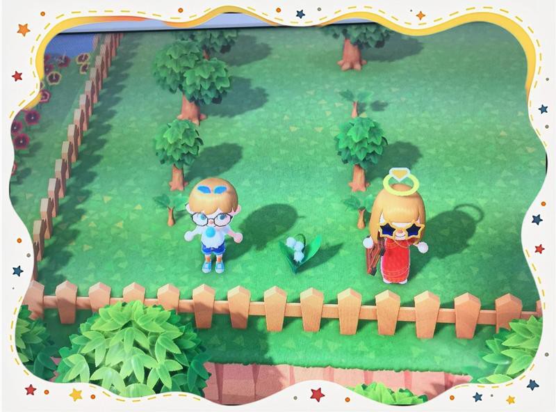 動森花卉價格一覽表，《集合啦動物森友會》全植物圖鑒表一覽表一覽表一覽