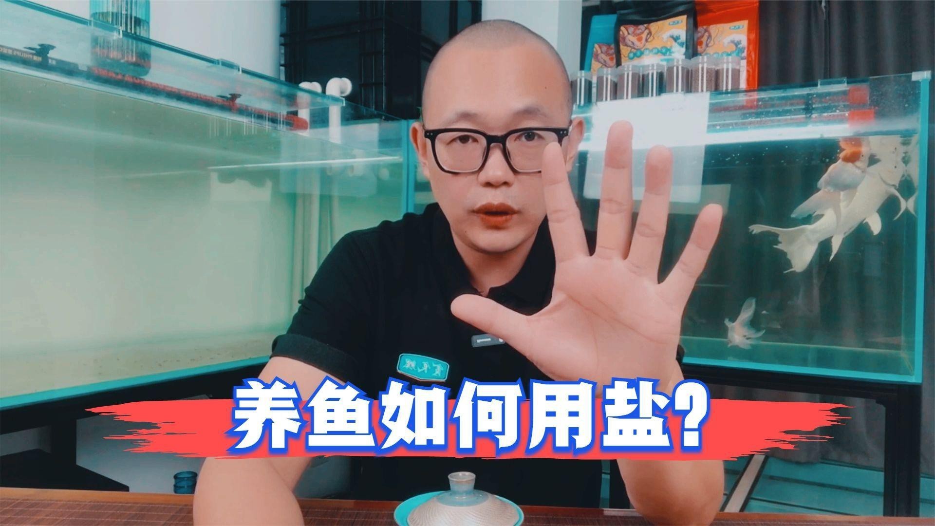 養金魚多久放一次鹽，金魚飼養中鹽的使用