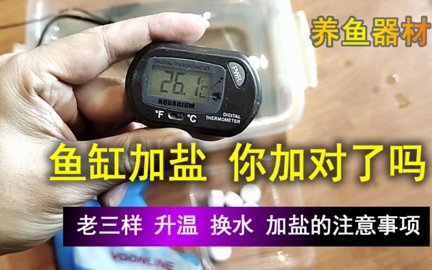 養金魚多久放一次鹽，金魚飼養中鹽的使用