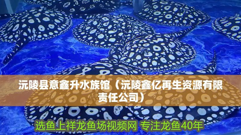 沅陵水族店，沅陵縣水族店哪家口碑最好