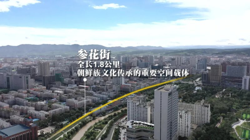 延邊朝鮮族水族店，延邊朝鮮族水族店有哪些特色服務金達萊花鳥魚市場
