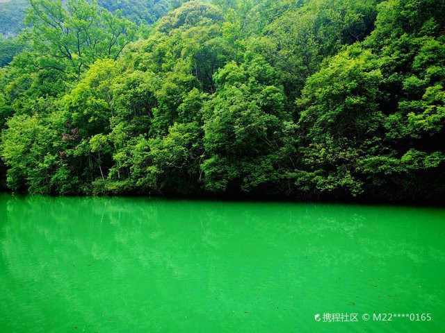 荔波水族店，荔波水族店有哪些特色產品 荔波水族店，荔波水族店有哪些特色產品 全國水族館企業名錄 第1張