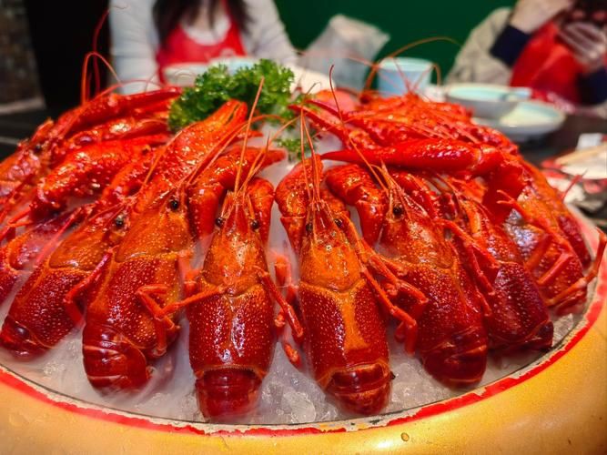 有沒有更多種類的龍蝦圖片？，全球多種大龍蝦品種介紹